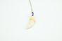 Wolf Tooth Necklace