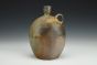 Burrowing Owls Bottle