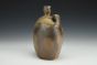 Burrowing Owls Bottle