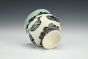 Whale/Turtle Teacup