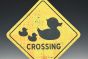 Rubber Duck Crossing