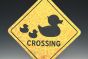 Rubber Duck Crossing