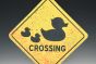 Rubber Duck Crossing