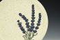 Lavender Dinner Plate