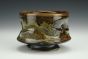 Gold Dust Teabowl