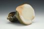 Gold Dust Bud Vase