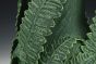 Fern Vase