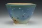 Soup Bowl - Night Sky and Murmurations