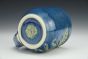 Blue-Ringed Octopus Mug