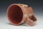 California Condor Mug