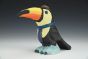 Toucan