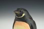 Penguino