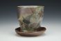 Beetle Teacup and Saucer
