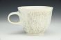 Bowtie Owl