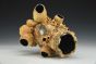 Sandy Barnacle Sculpture Vase