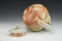 Cornwall Cream Tea Pot
