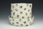 Two Part Blueberry Planter