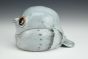 Bread Tank Top Pigeon