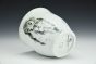 Three-View Soda Owl Cup