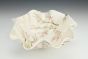 Blossom - Bowl