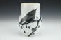 Black Nuthatch and Bittersweet Vase