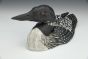 Common Loon