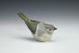 Ruby-crowned Kinglet