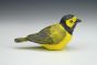 Hooded Warbler