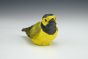 Hooded Warbler