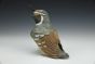 California Quail